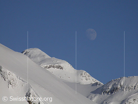 Foto: Hohsandhorn mit Mond.