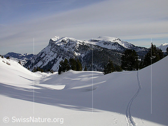 Foto: Im Aufstieg zu den Sieben Hengste: Blick zu Hohgant West und Steinigi Matte.