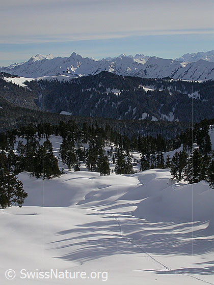 Foto: Im Aufstieg zu den Sieben Hengste: Blick über den Grünenberg Richtung Brienzergrat (Brienzer Rothorn und Tannhorn)