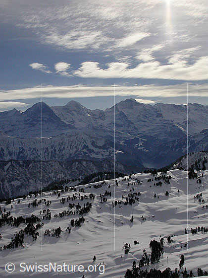 Foto: Sieben Hengste: Blick über das Seefel zu Eiger, Mönch und Jungfrau.