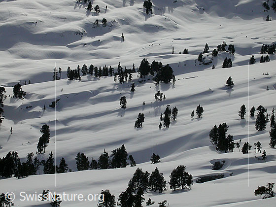 Foto: Sieben Hengste: Blick auf das Seefeld.