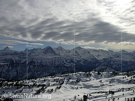 Foto: Sieben Hengste: Blick über das Seefeld zu den Berner Alpen (Schreckhorn, Finsteraarhorn, Fiescherhörner, Eiger, Mönch, Jungfrau, etc.)