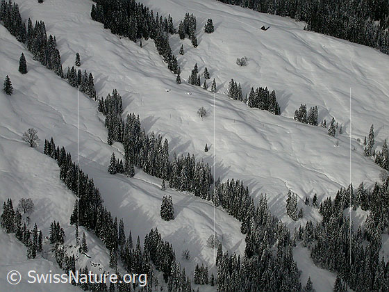 Foto: Sieben Hengste: Tiefblick auf Winterlandschaft.