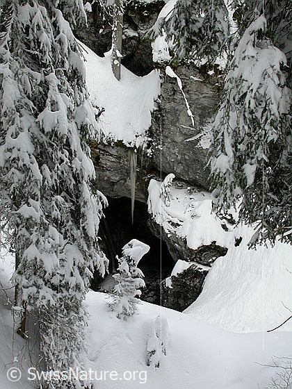 Foto: Grünenberg: Winterlandschaft mit Eiszapfen und Felsen.