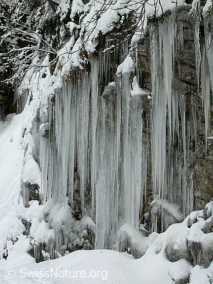 Foto: Bei Fall/Eriz: Eiszapfen an Felswand.