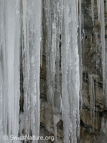 Foto: Bei Fall/Eriz: Eiszapfen an Felswand.