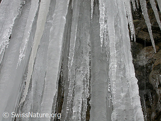 Foto: Bei Fall/Eriz: Eiszapfen an Felswand.