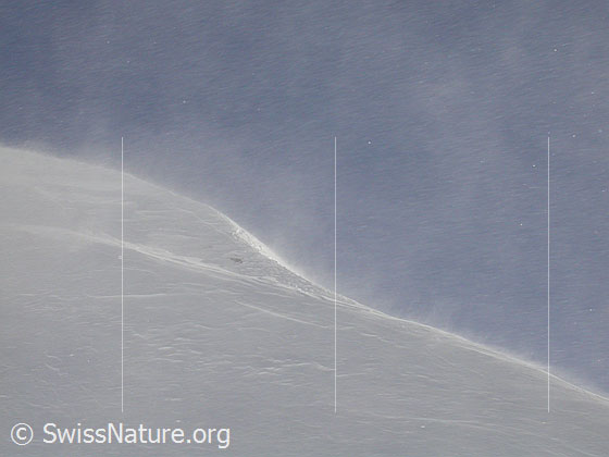 Foto: Starke Schneeverfrachtung am Gandhorn.