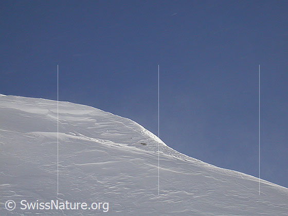 Foto: Schwache Schneeverfrachtung am Gandhorn.