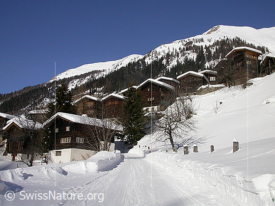 Foto: Winterliches Imfeld