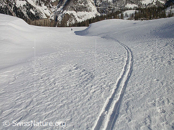 Foto: Aufstiegsspur auf dem Hockboden.