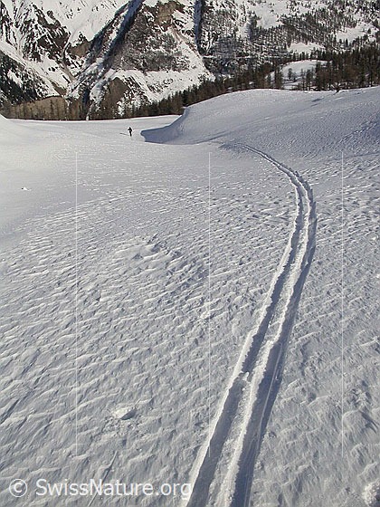 Foto: Aufstiegsspur auf dem Hockboden.