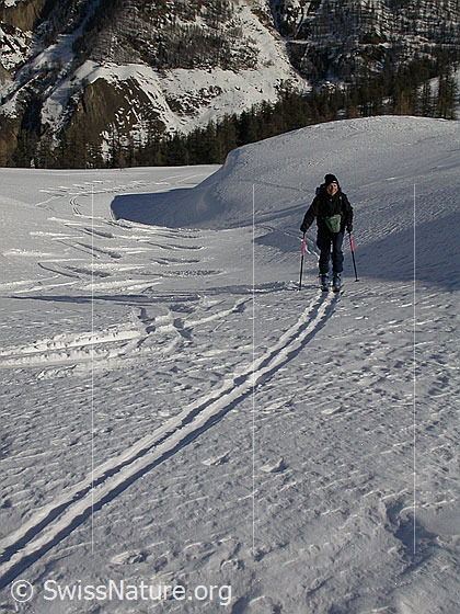 Foto: Auf Skitour.