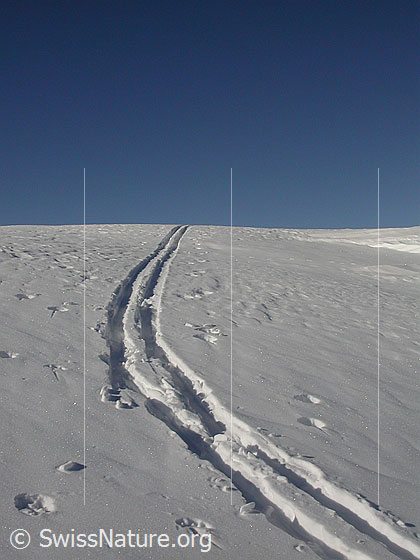 Foto: Skispur verliert sich im Horizont