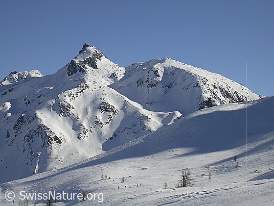 Foto: Skitourenfahrer im Aufstieg zum Stockhorn. Im Hintergrund das Untere Schinhorn.