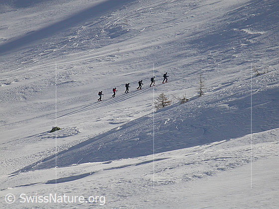 Foto: Skitourenfahrer im Aufstieg zum Stockhorn.