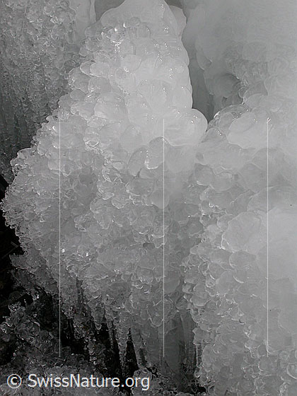 Foto: Natürliches Kunstwerk aus Eis.