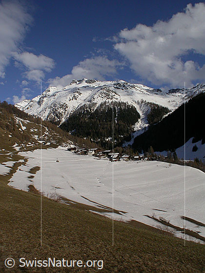 Foto: Imfeld und Schinhörner.