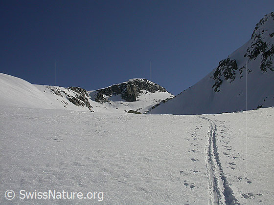 Foto: Im Aufstieg durch das Hotäl zum Grossen Schinhorn. Blick zum Untere Schinhorn.