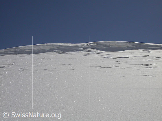 Foto: Kleine Wächte im Aufstieg zum Grossen Schinhorn.