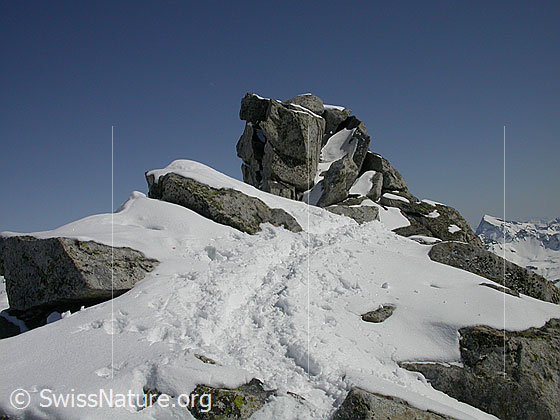 Foto: Gipfel der Grossen Schinhorn.
