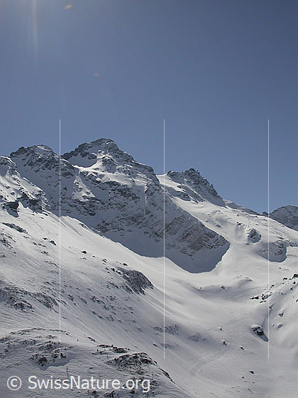 Foto: Schwarzhorn und Fleschhorn