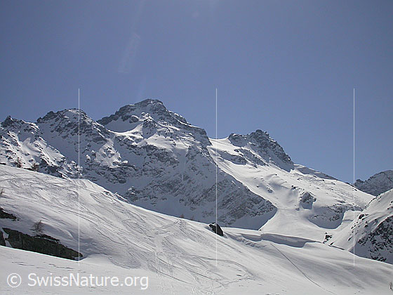 Foto: Schwarzhorn und Fleschhorn