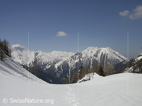 Foto: Am Eingang zum Fäldbachtal, in welchem noch viel Schnee liegt. Blick talauswärts. Hillehorn, Oberblatthorn, Bättlihorn, Breithorn.