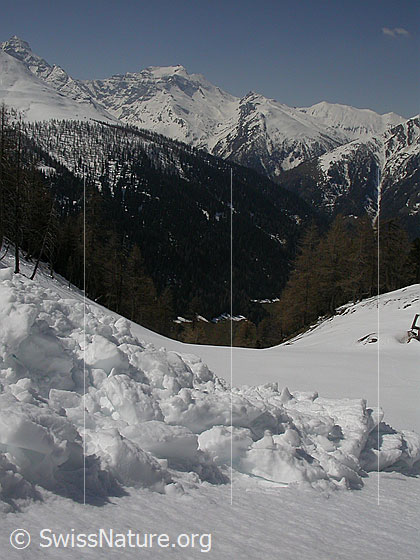 Foto: Am Eingang zum Fäldbachtal. Im Vordergrund der Kegel eines Nasschneerutsches. Im Hintergund Hillehorn und Oberblatthorn.