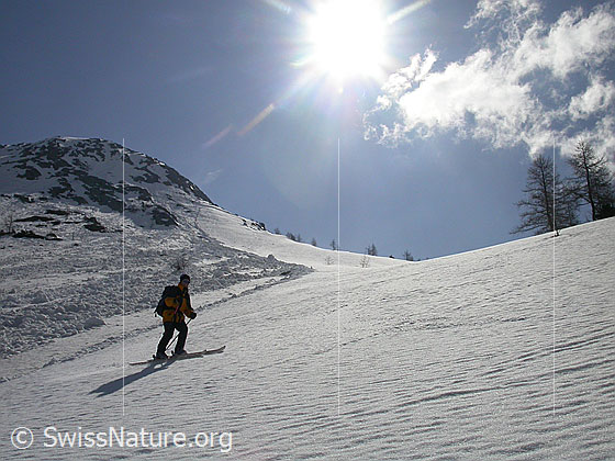 Foto: Skitourenfahrerin in der Abfahrt unterhalb Mässersee.