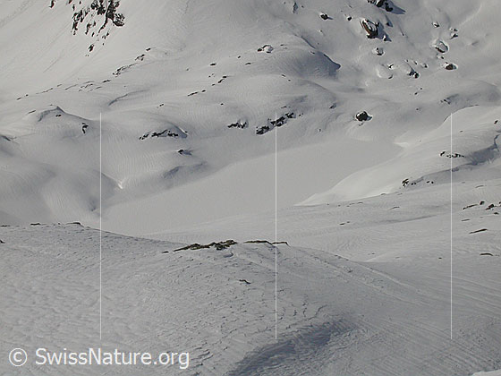 Foto: Blick vom Grossen Schinhorn auf den zugeschneiten Geisspfadsee.