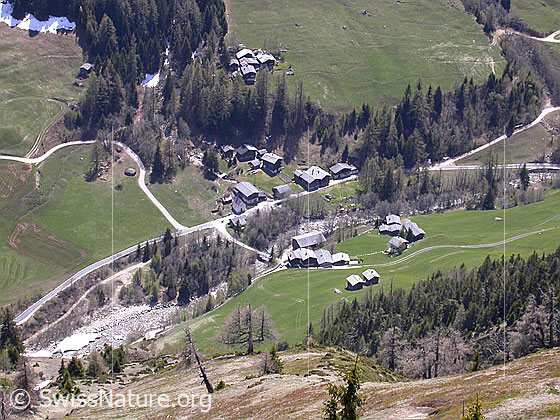 Foto: Tiefblick auf den Weiler Giesse.