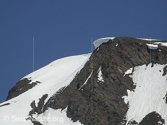 Foto: Gipfel des Gross Fülhorn von SW. Imposante Wächte.