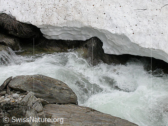 Foto: Binna zwischen Freichi und Wyssbach. Fels, Wasser, Schnee.