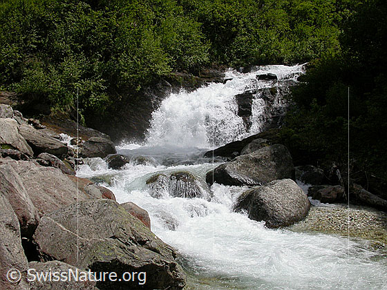Foto: Wasserfall im Mässerbach