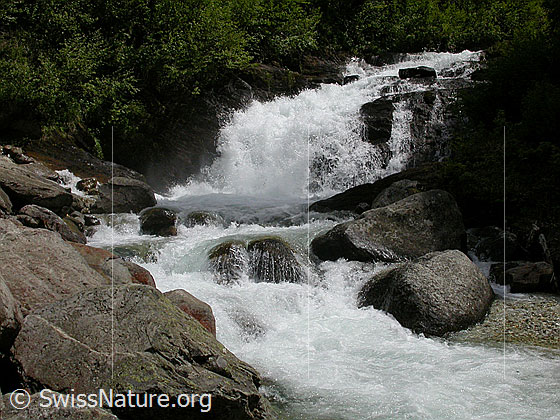 Foto: Wasserfall im Mässerbach