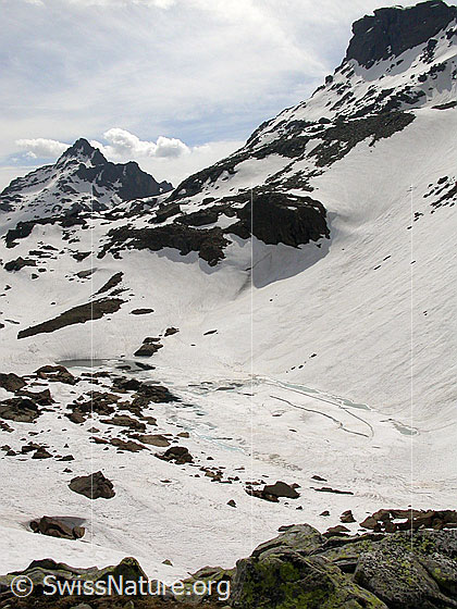 Foto: Zantmärjelesee:. Der See ist noch fast vollständig mit Schnee und Eis bedeckt. Im Hintergrund ist das Grampielhorn zu sehen.