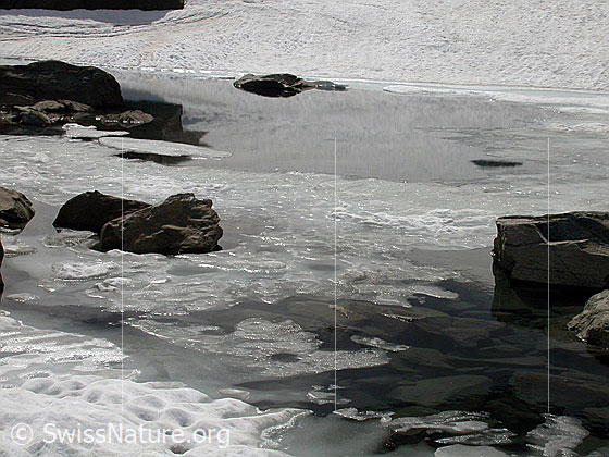Foto: Zantmärjelesee: Blick auf den mehrheitlich aufgefrorenen Teil des Sees.