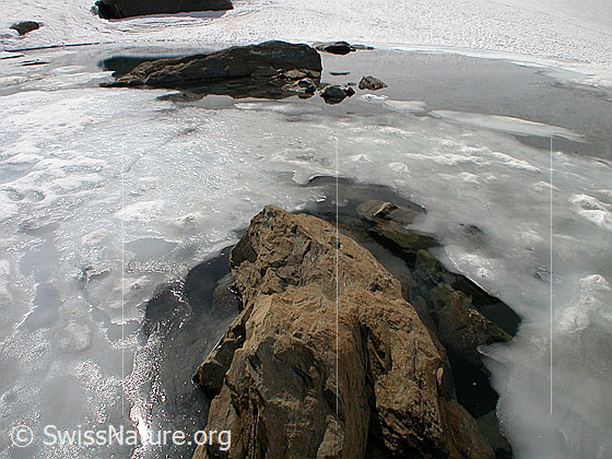 Foto: Zantmärjelesee: Eis, Wasser, Felsblöcke.
