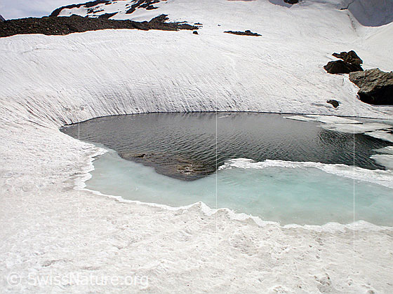 Foto: Bergsee bei Zantmärjelebiel: Blick auf den Ostteil des Sees. Ganz links mündet der schneebedeckte Zufluss in den See.