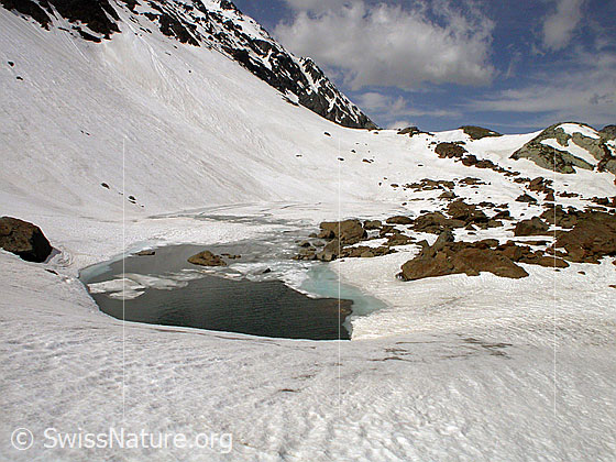 Foto: Zantmärjelesee: Blick von Osten über den See.