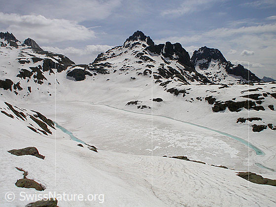 Foto: Geisspfadsee: Blick von Westen über den zugefrorenen See zum Grampielhorn.