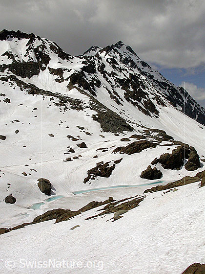 Foto: Züessee: Blick von Osten über den zugefrorenen See zum Schwarzhorn.