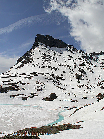 Foto: Geisspfadsee: Blick über den zugefrorenen See zum Rothorn. Hellblauer Wasserstreifen im Uferbereich.