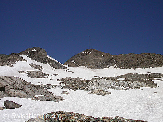 Foto: Turbhorn von SSE