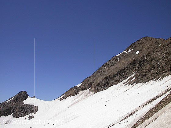 Foto: Im Aufstieg zu Strahlgrätpass und Turbhorn: Blick zu SSE-Grat und Gipfel des Turbhorn.