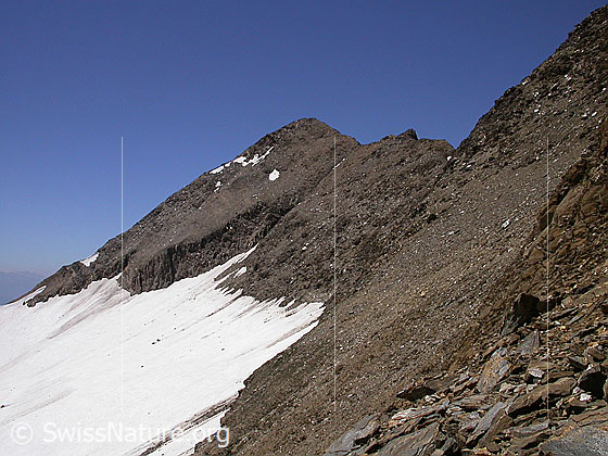 Foto: Blick vom Strahlgrätpass zum Turbhorn und den E-Grat, über welchen die einfachste Route zum Gipfel führt.