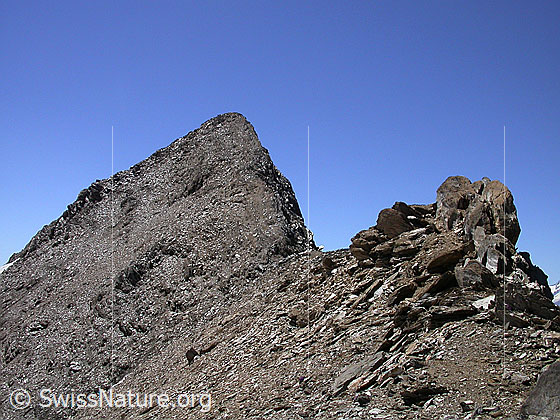 Foto: Auf dem E-Grat des Turbhorn. Der Gipfel ist bald erreicht.