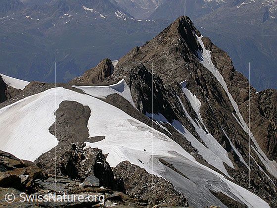 Foto: Blick vom Gipfel des Turbhorn zum Ober Rappehorn.