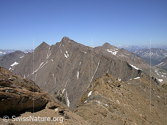 Foto: Blick vom Gipfel des Turbhorn zum Blinnenhorn.